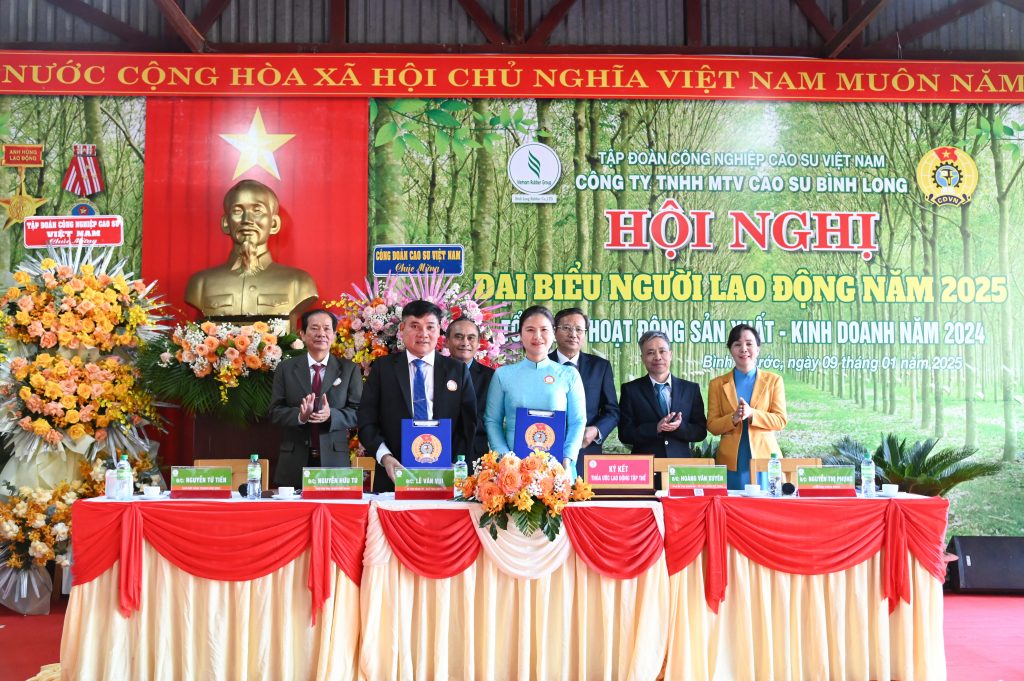 Lợi nhuận Cao su Bình Long vượt 91,2% kế hoạch năm 2024